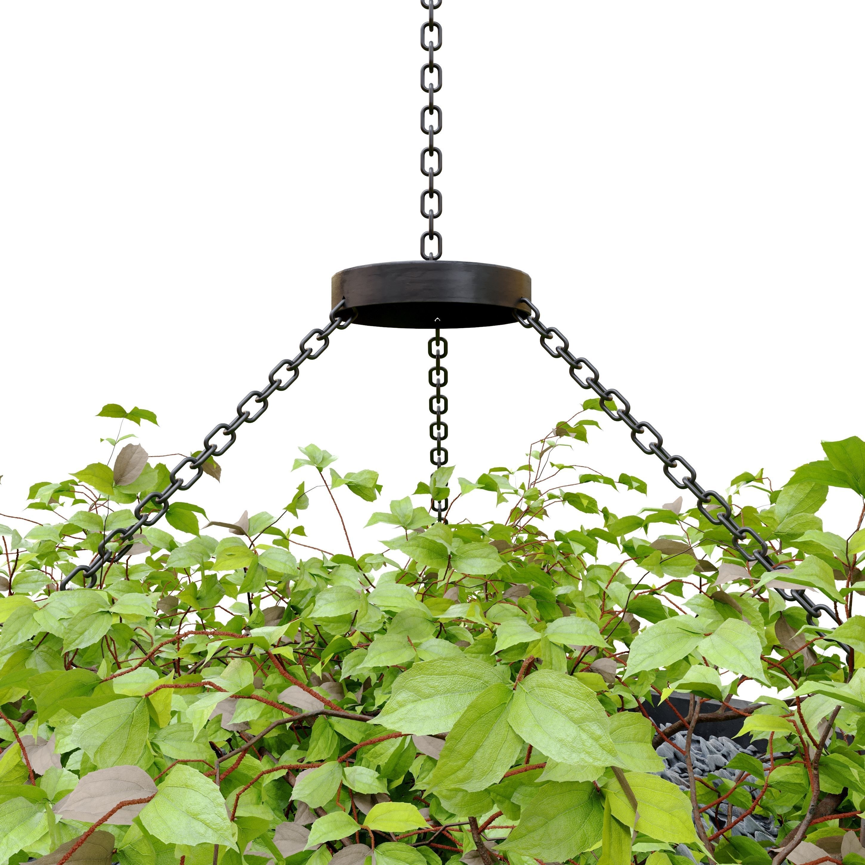 Plant hanger 2 3D model_2