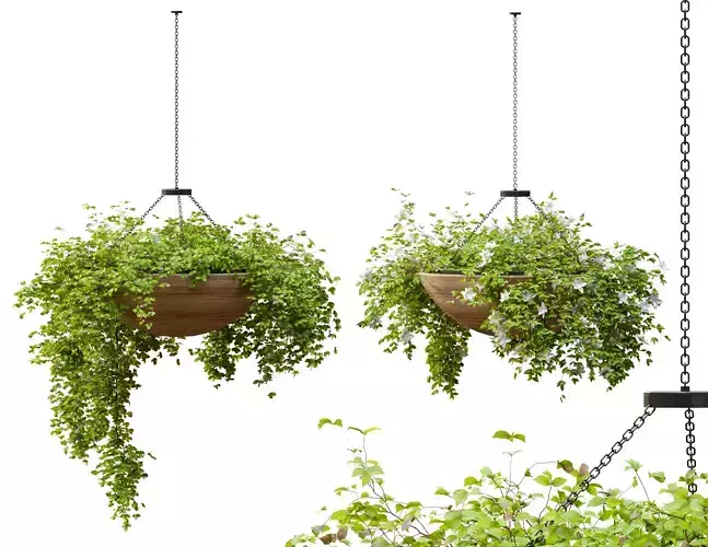 Plant hanger 2