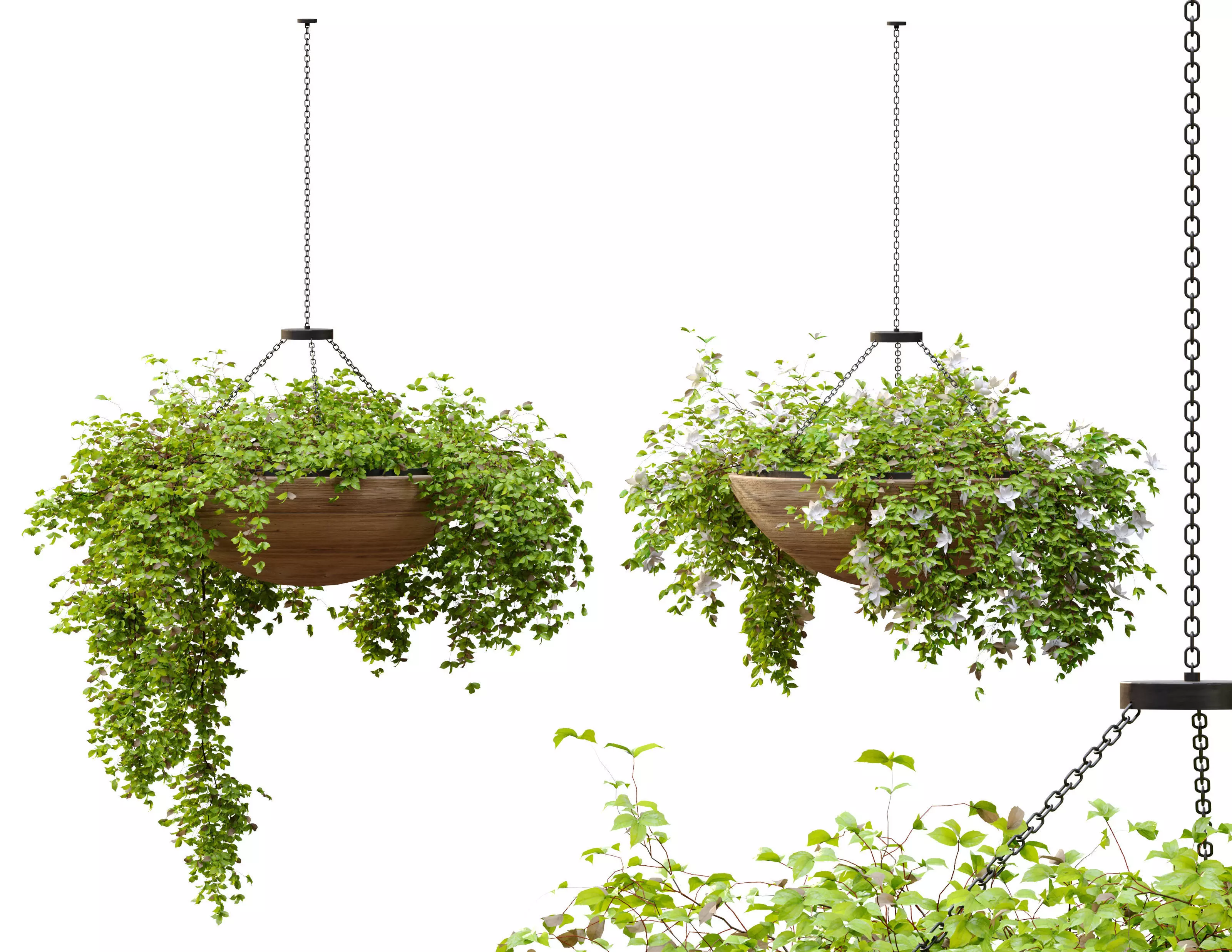 Plant hanger 2 3D model_0