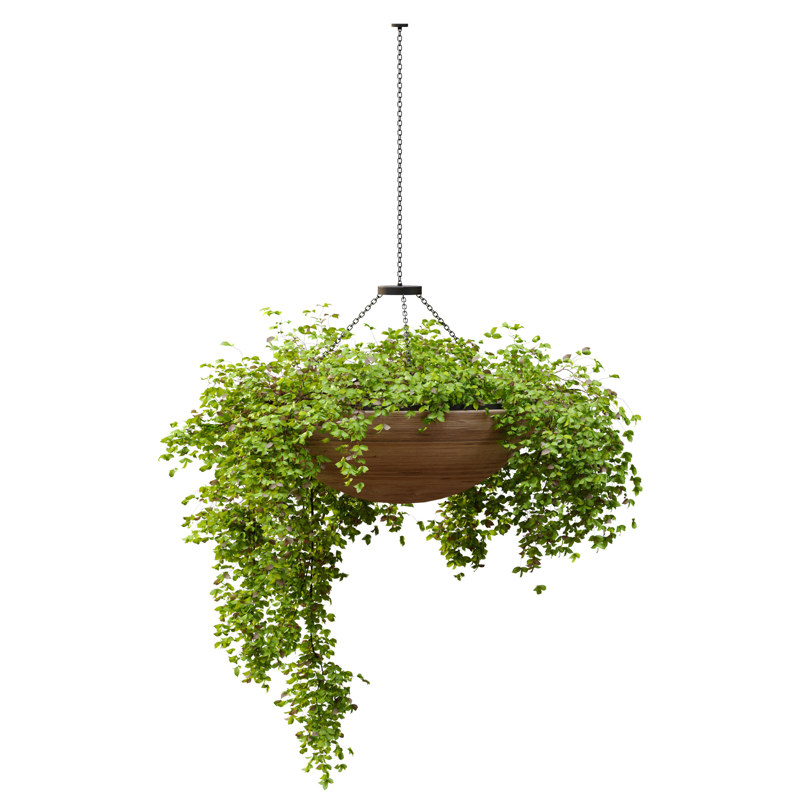 Plant hanger 2 3D model_3