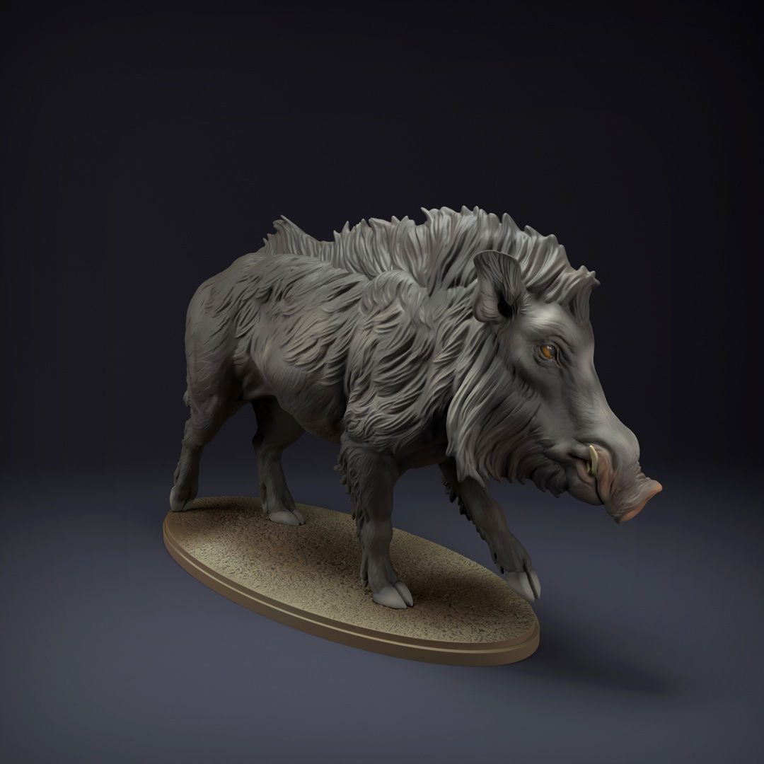 Indian Wild Boar for 3D Printing 3D print model_3