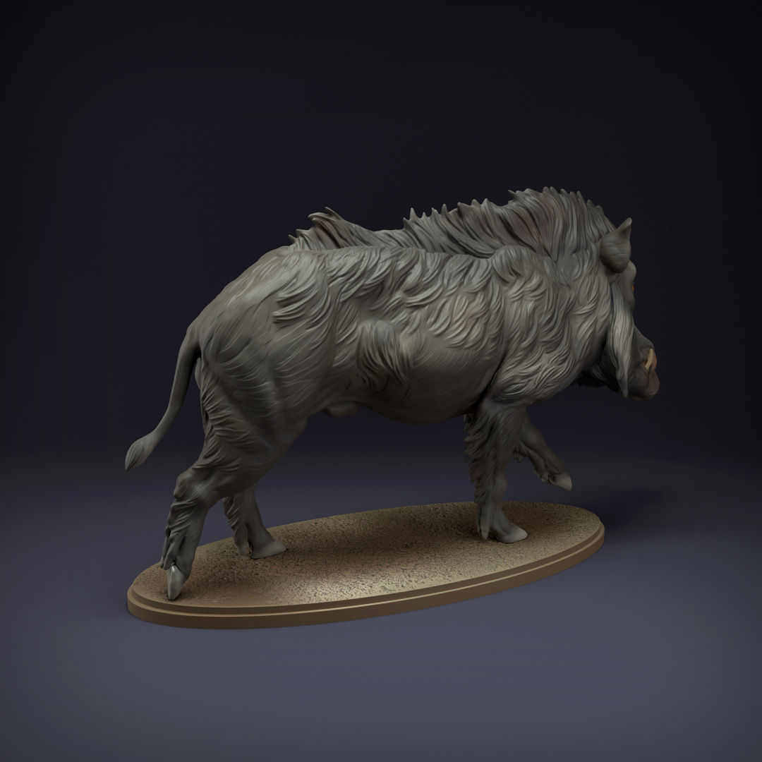 Indian Wild Boar for 3D Printing 3D print model_2