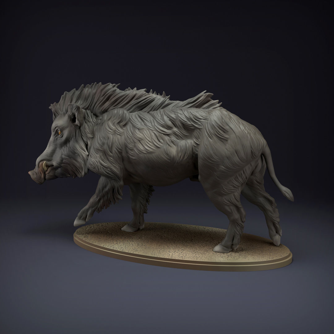 Indian Wild Boar for 3D Printing 3D print model_1