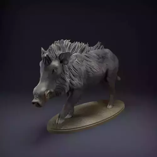 Indian Wild Boar for 3D Printing