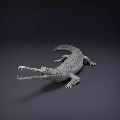 Gharial for 3D Printing