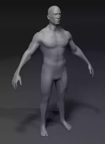 Male Body Base Mesh 28 Animations 3D Model 10k Polygons Low-poly 3D model