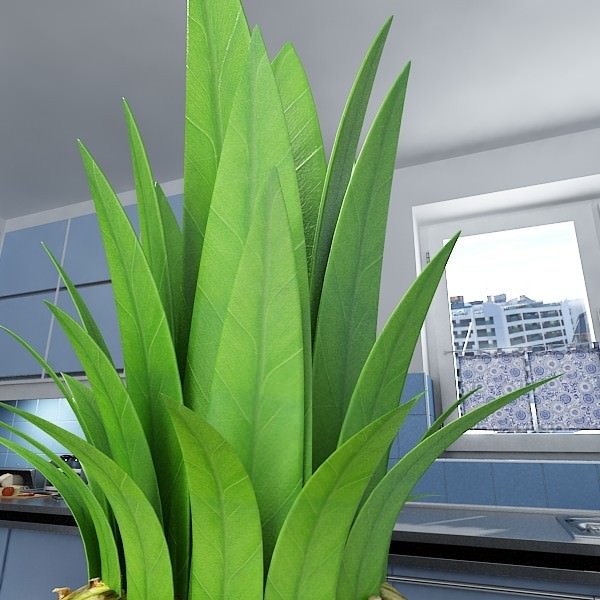 Fruits and Basket Collection 3D model_34