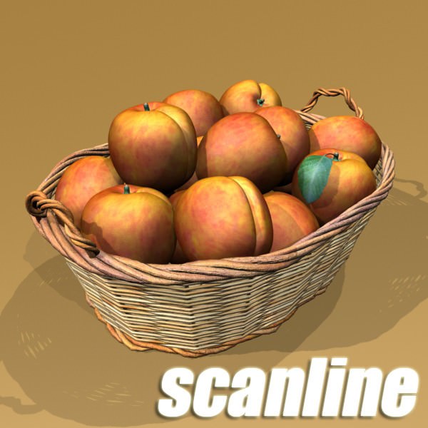 Fruits and Basket Collection 3D model_55
