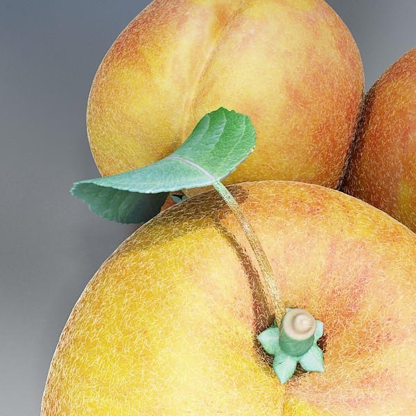 Fruits and Basket Collection 3D model_44