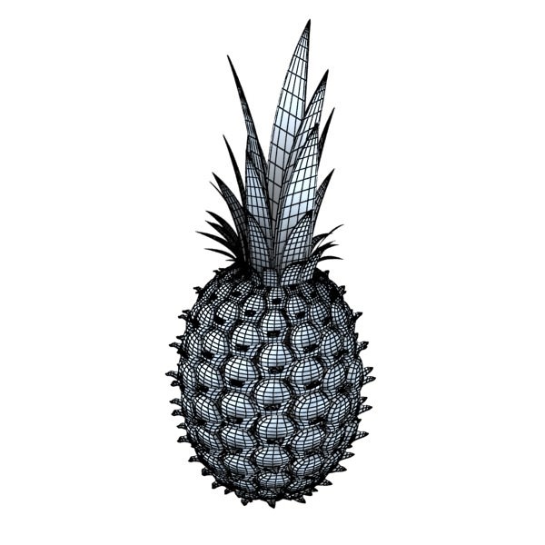 Fruits and Basket Collection 3D model_37