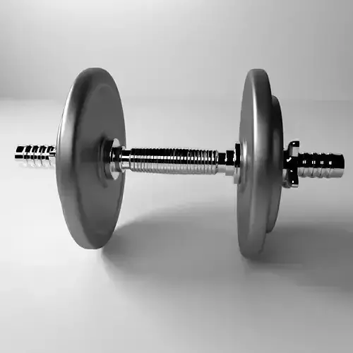 Dumbbell 3D model
