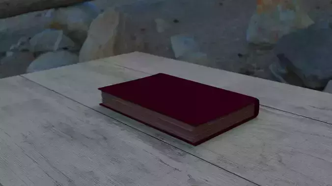 worn book