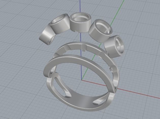 Ring Model 1788 3D print model_2