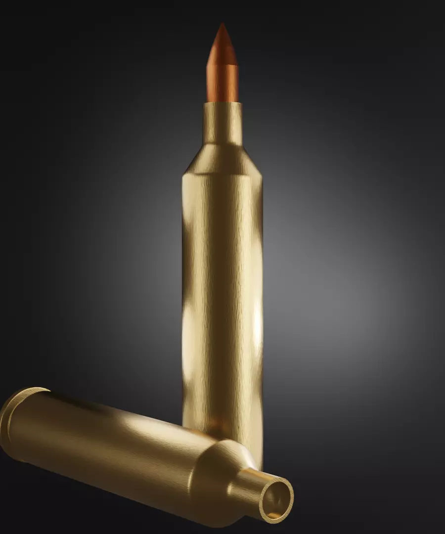 Bullet gold cartridge Free 3D model