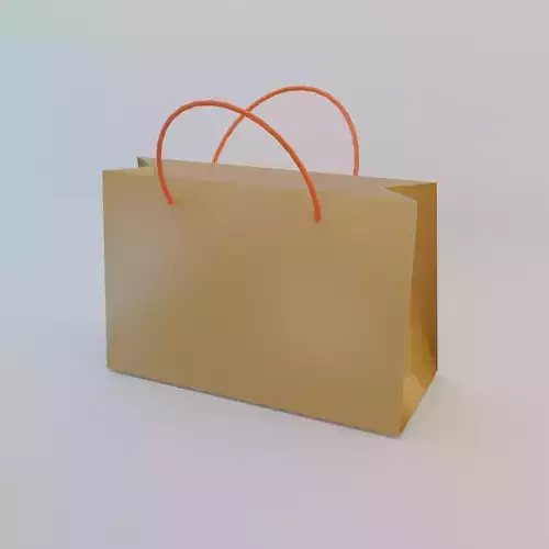 Paper Bag