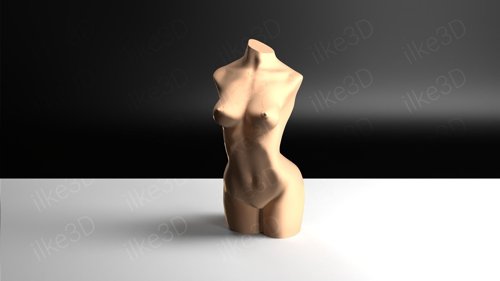 Woman mannequin back view 3D print model_10