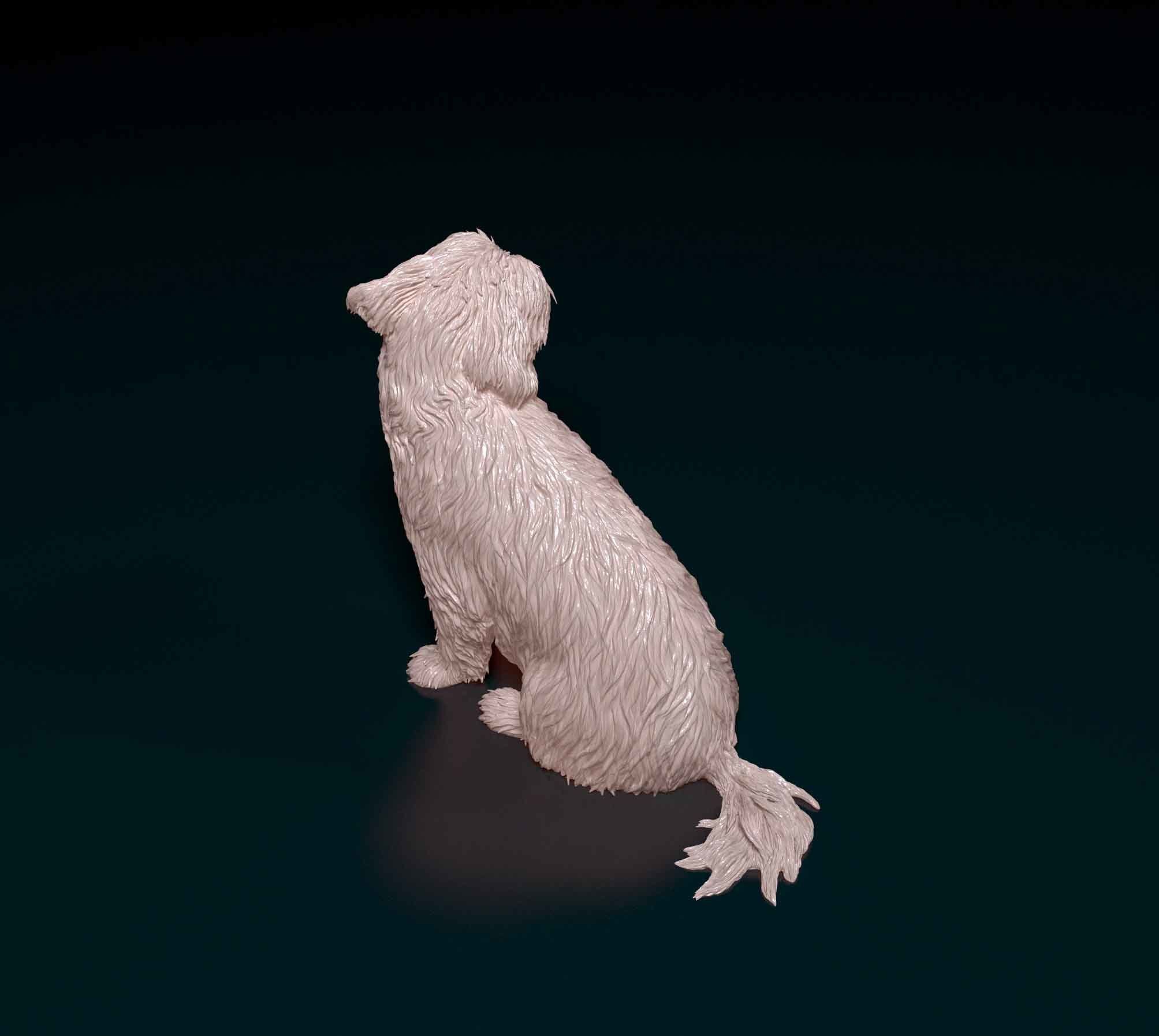 Maltese dog 3D print model_4