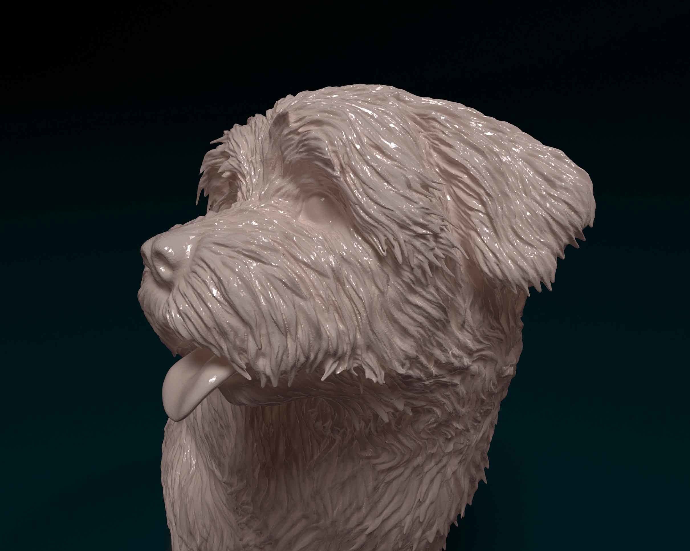 Maltese dog 3D print model_6
