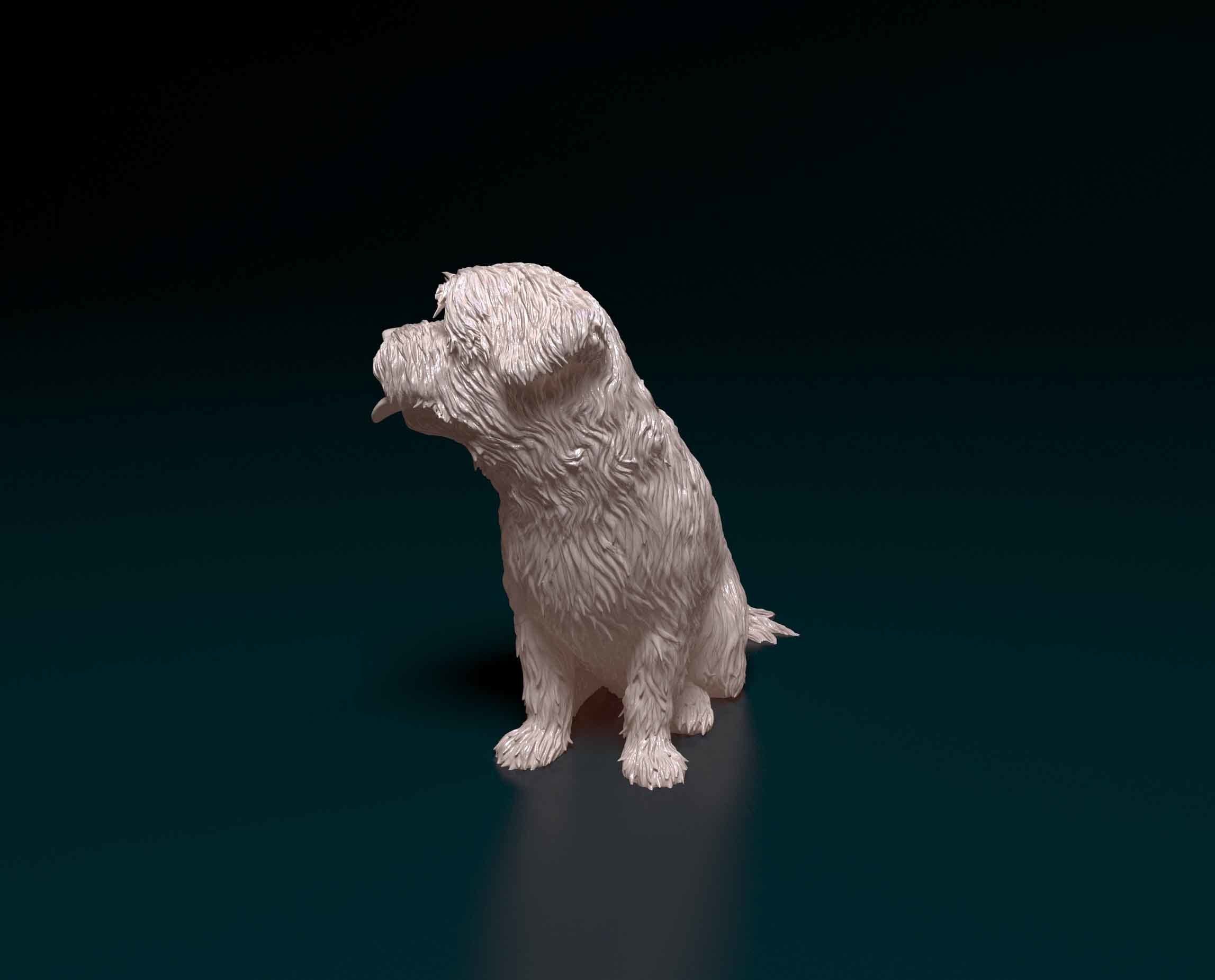 Maltese dog 3D print model_2
