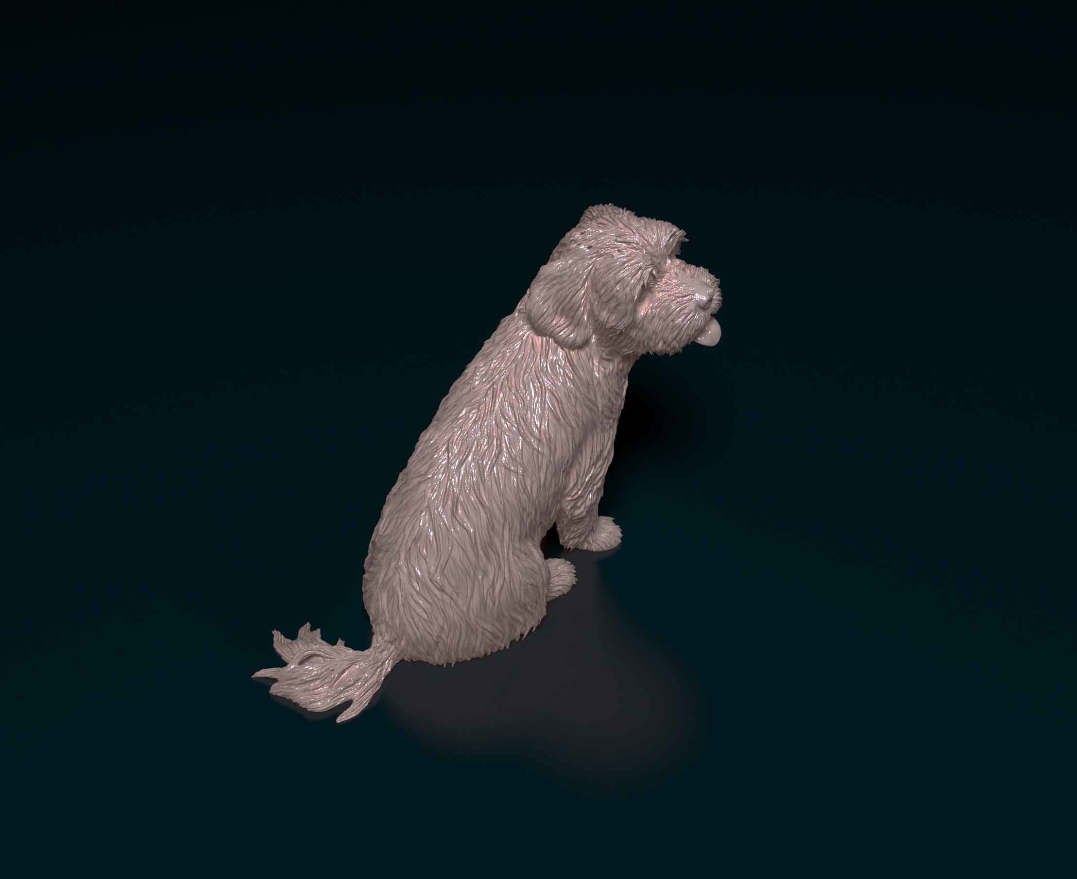 Maltese dog 3D print model_5