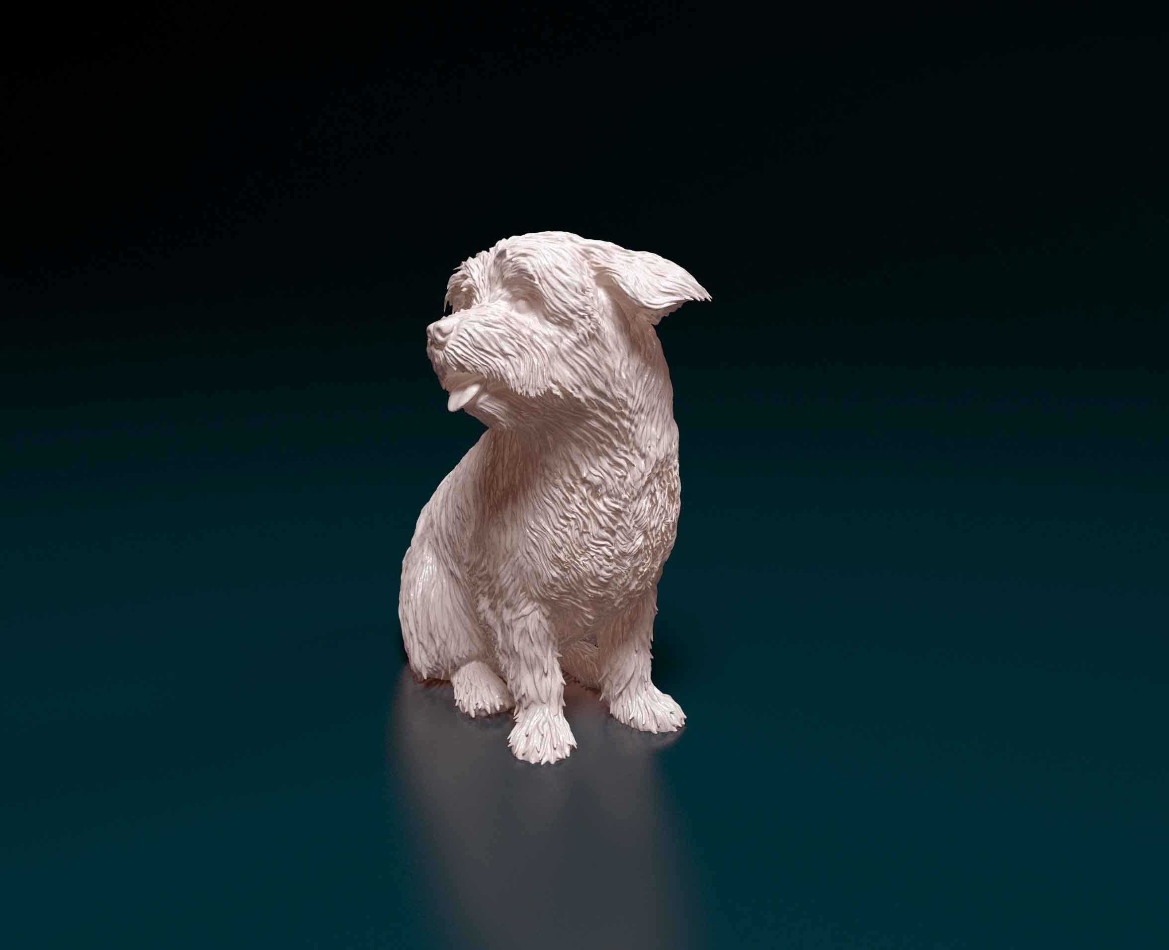 Maltese dog 3D print model_8