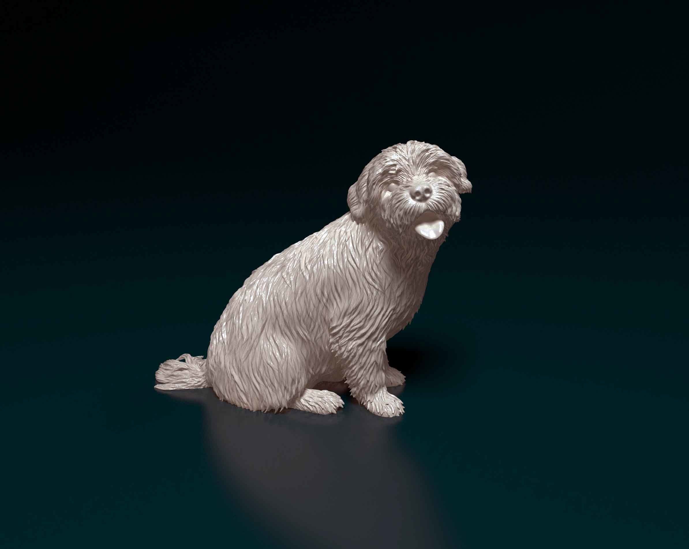 Maltese dog 3D print model_1