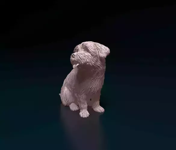 Maltese dog 3D print model