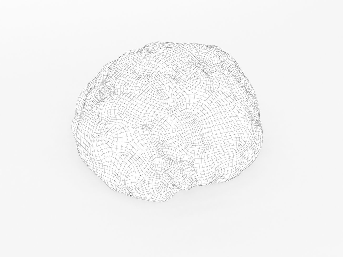 Ground Meat 3D model_14