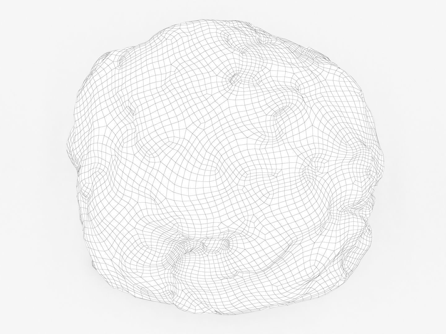 Ground Meat 3D model_17