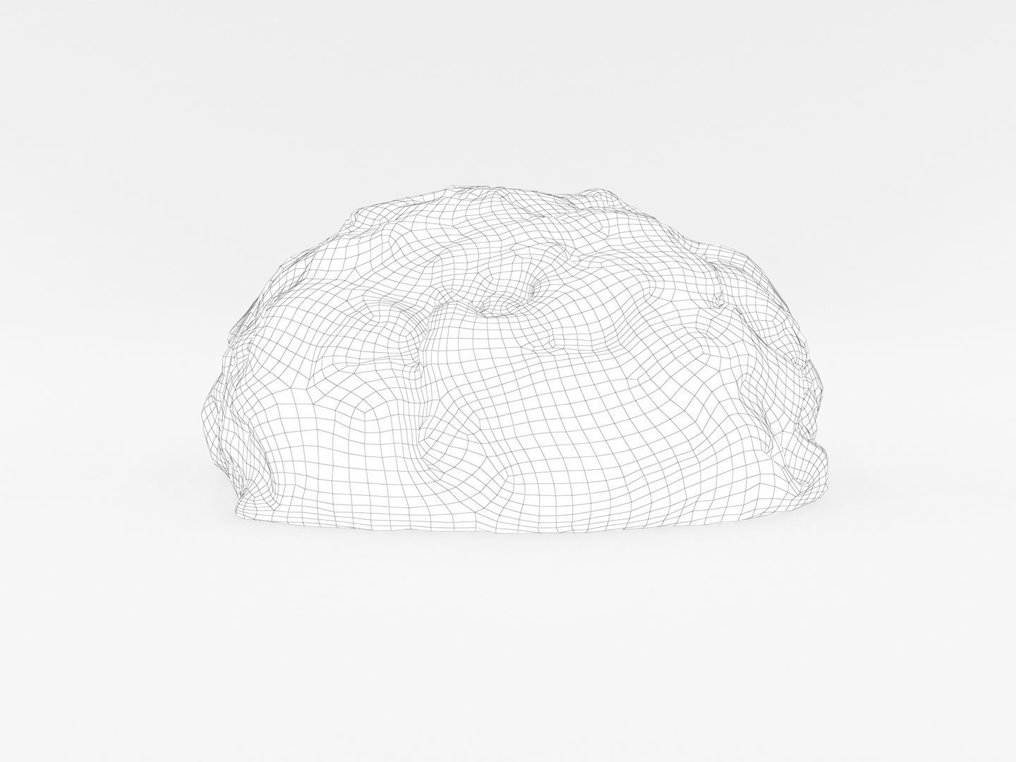 Ground Meat 3D model_15