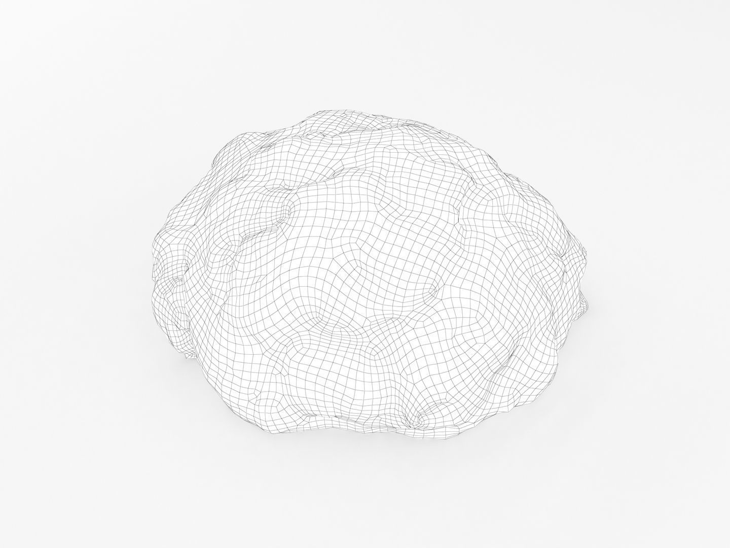 Ground Meat 3D model_12