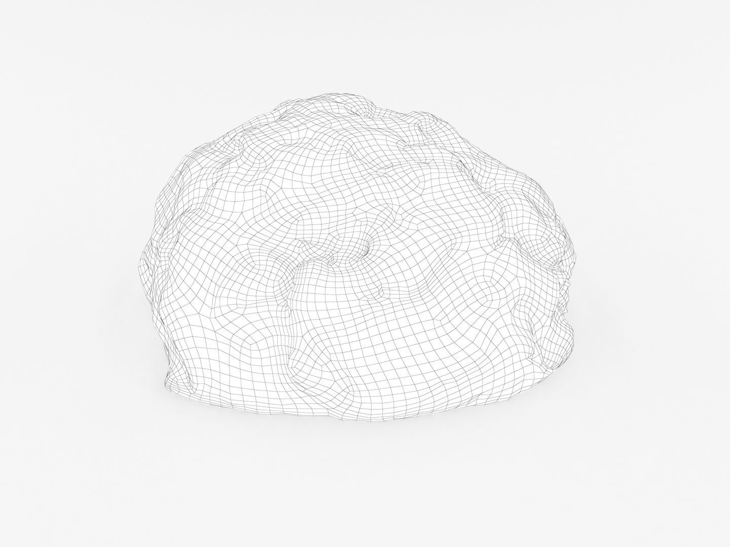 Ground Meat 3D model_10