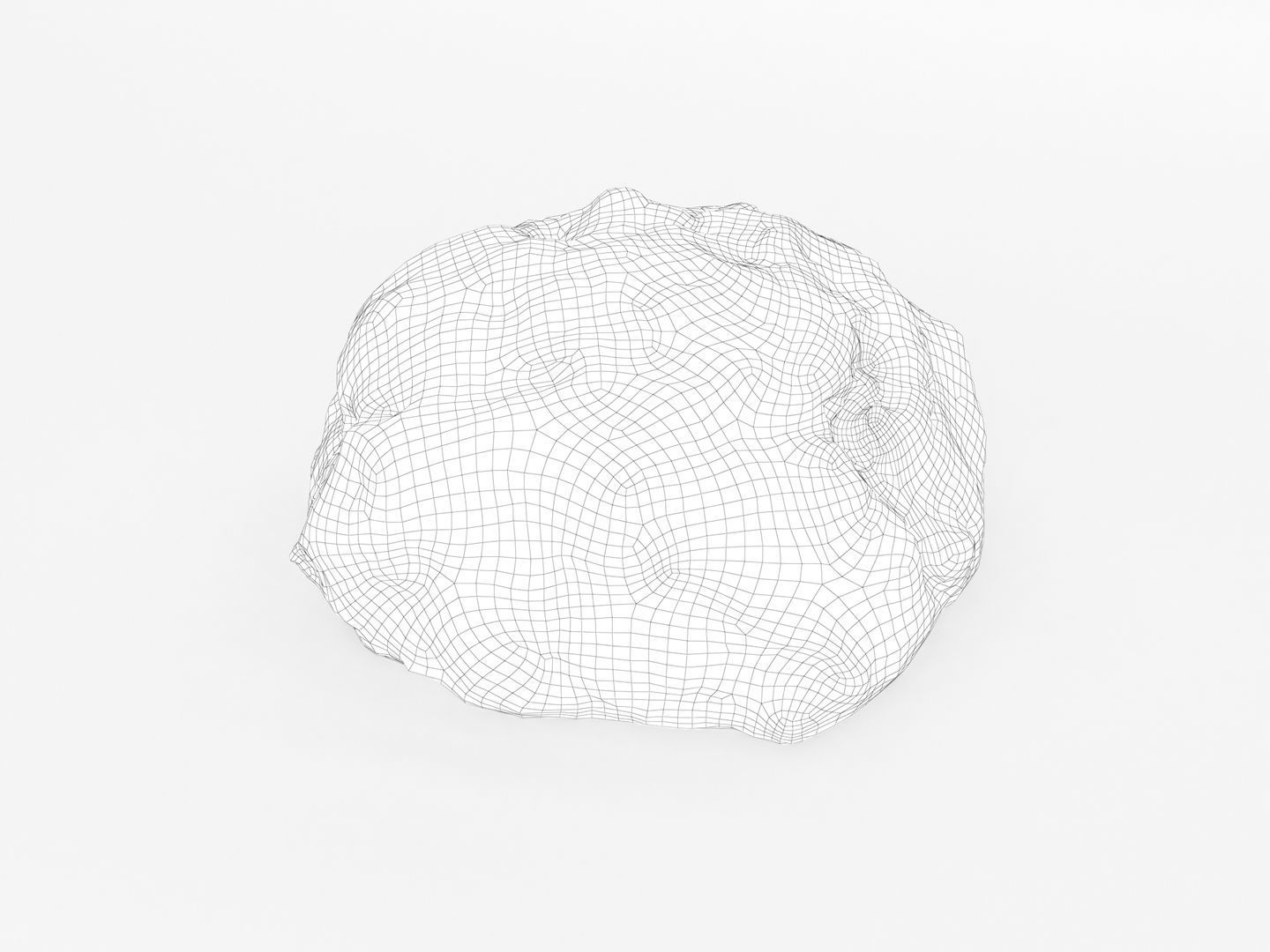 Ground Meat 3D model_11