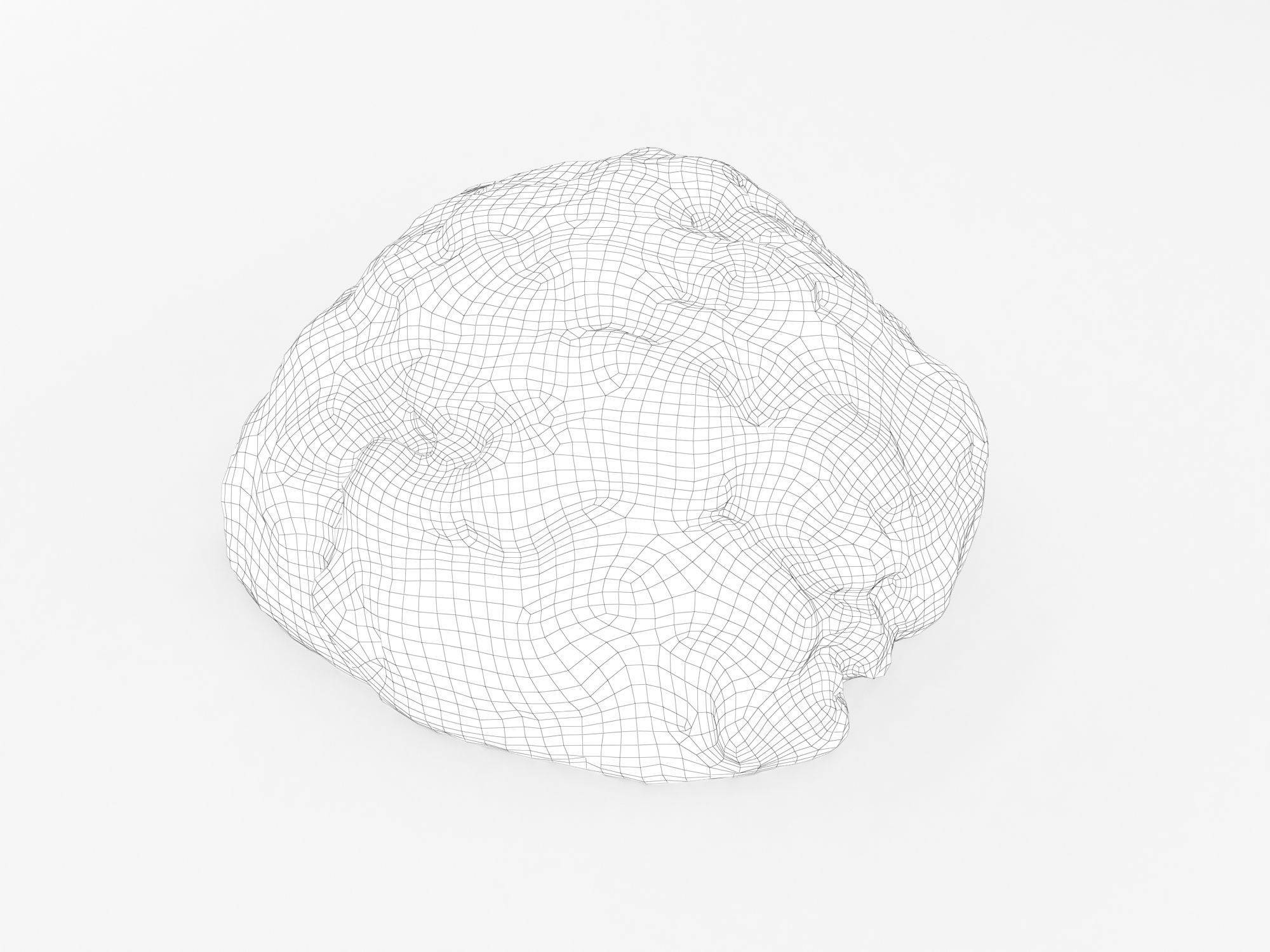 Ground Meat 3D model_9