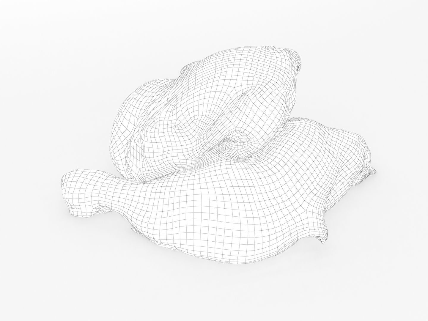 Raw Chicken Leg 3D model_14