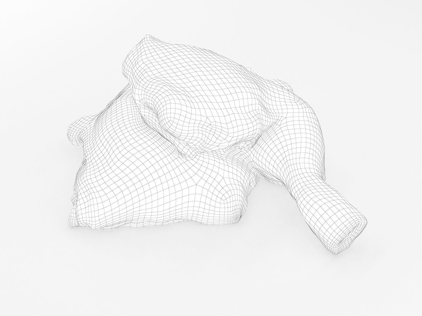 Raw Chicken Leg 3D model_12