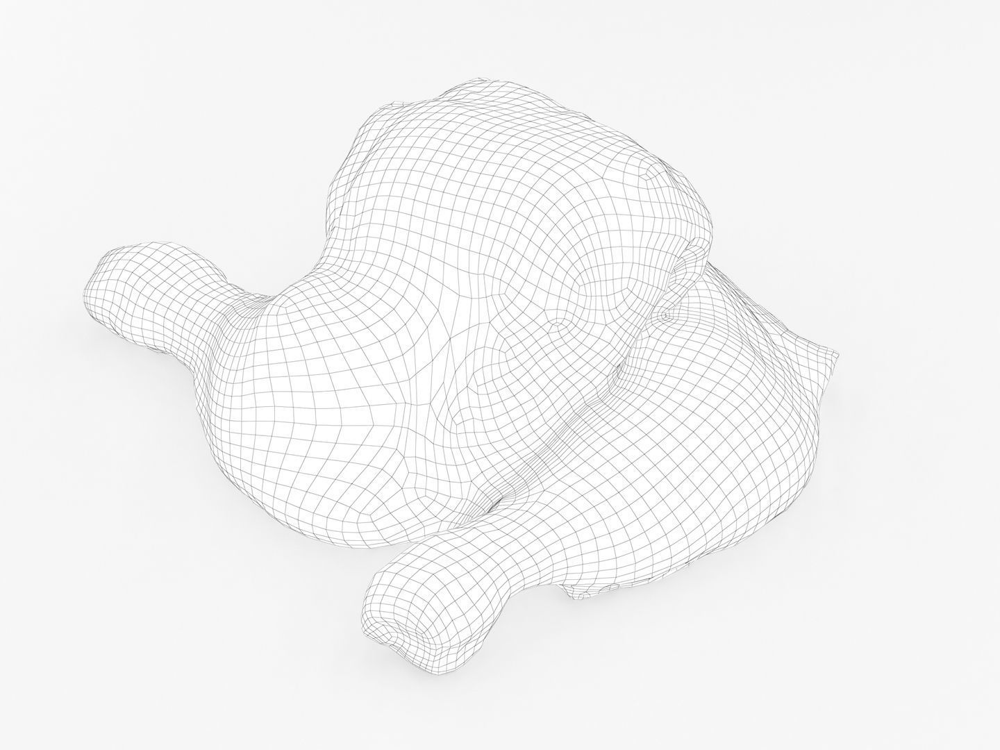 Raw Chicken Leg 3D model_9
