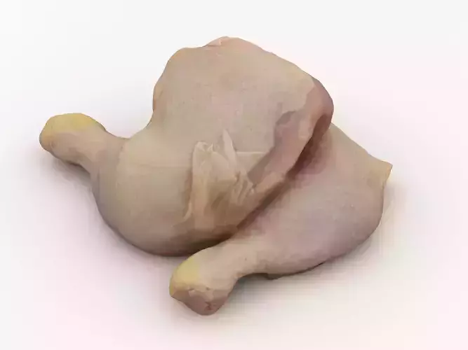 Raw Chicken Leg 3D model