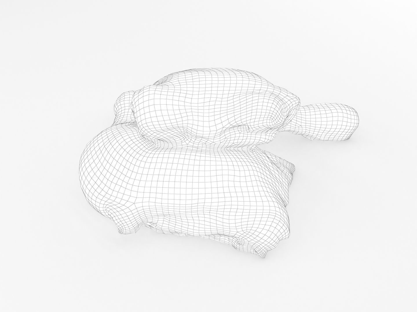 Raw Chicken Leg 3D model_13