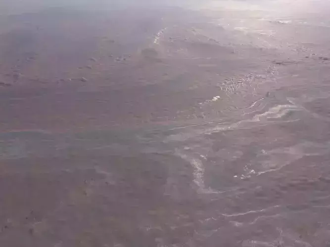 Desert Plains Landscape