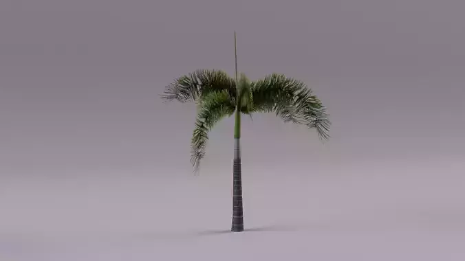 Palm Tree01 Low Poly Low-poly 3D model