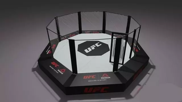 Fighter Octagon Cage Low-poly 3D model_0