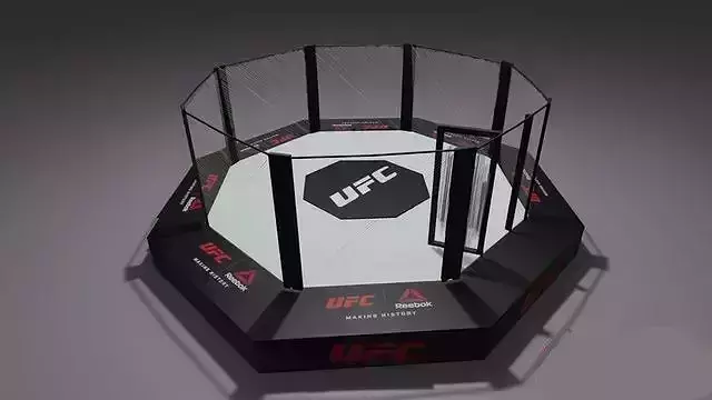 Fighter Octagon Cage Low-poly 3D model