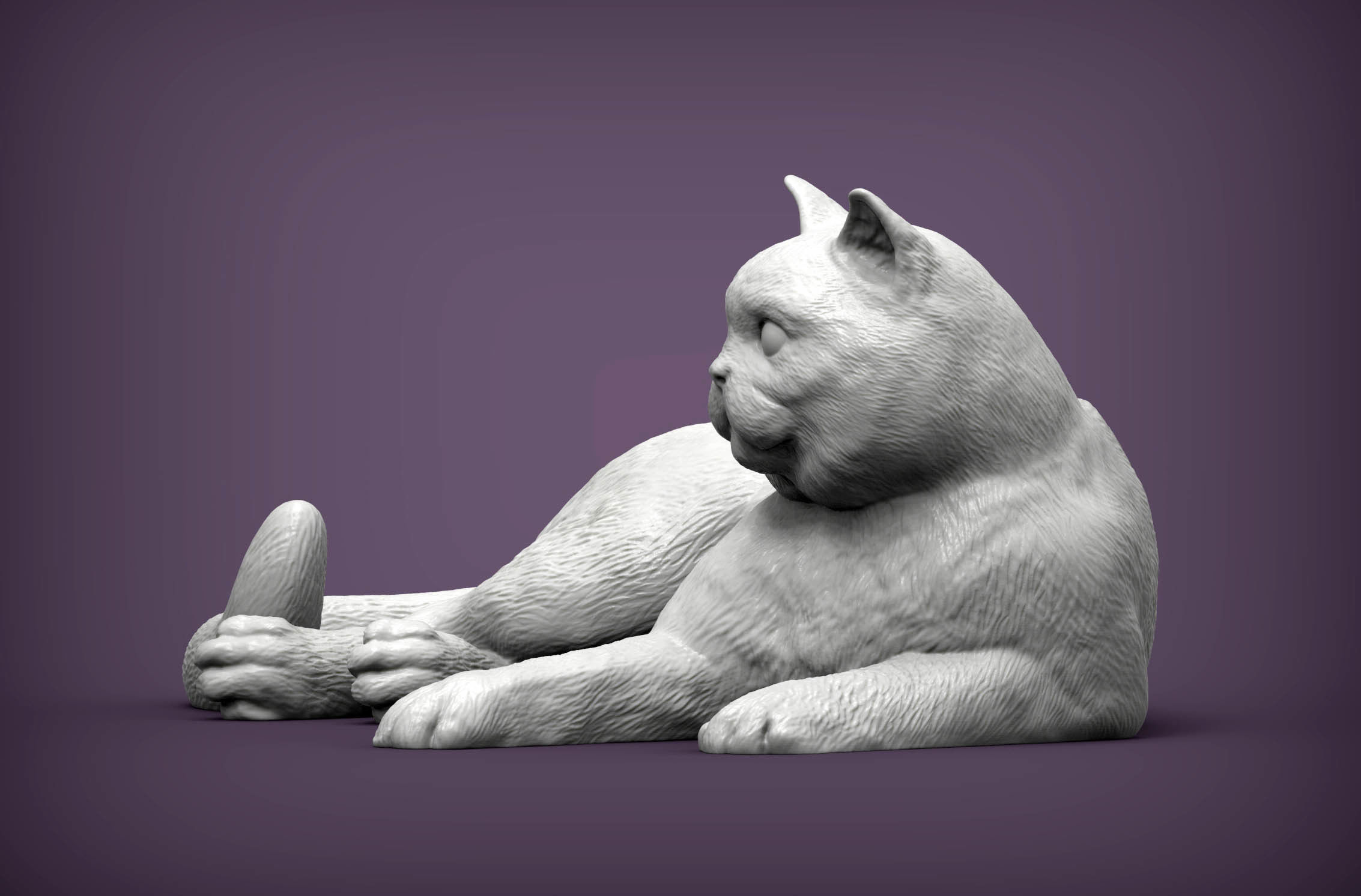 british shorthair cat 3D print model_5