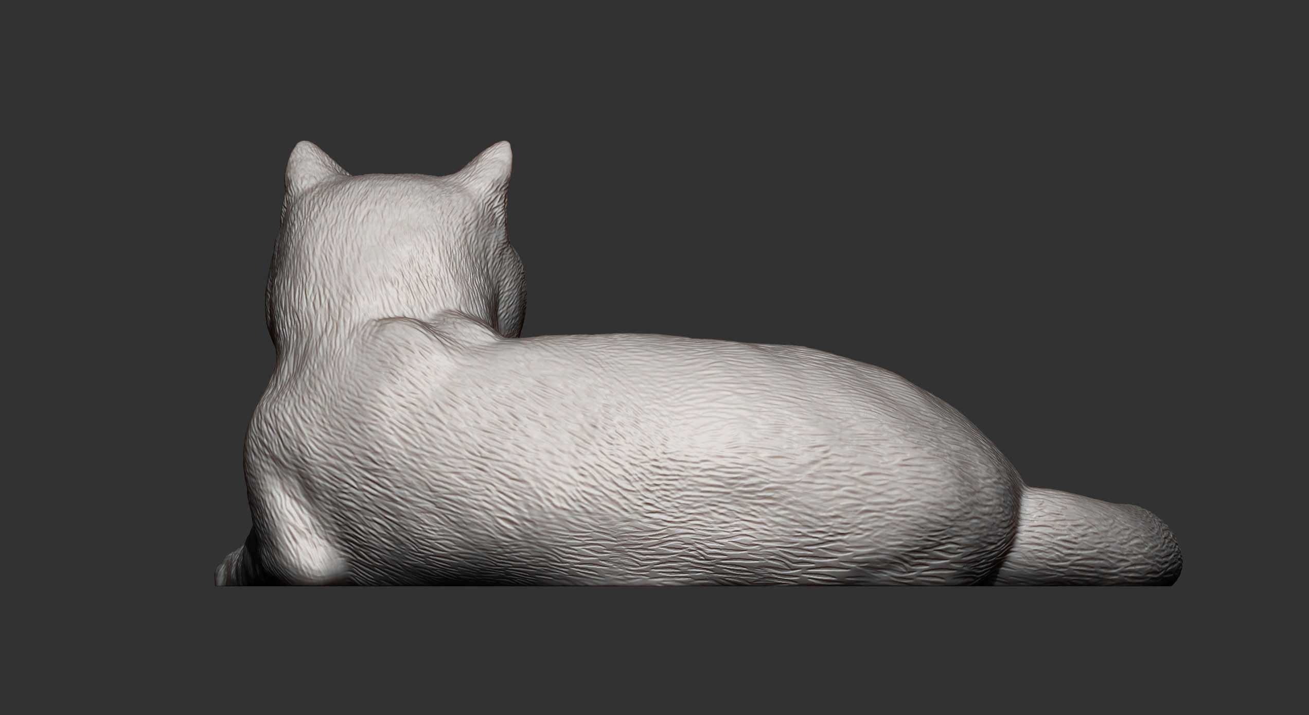 british shorthair cat 3D print model_6