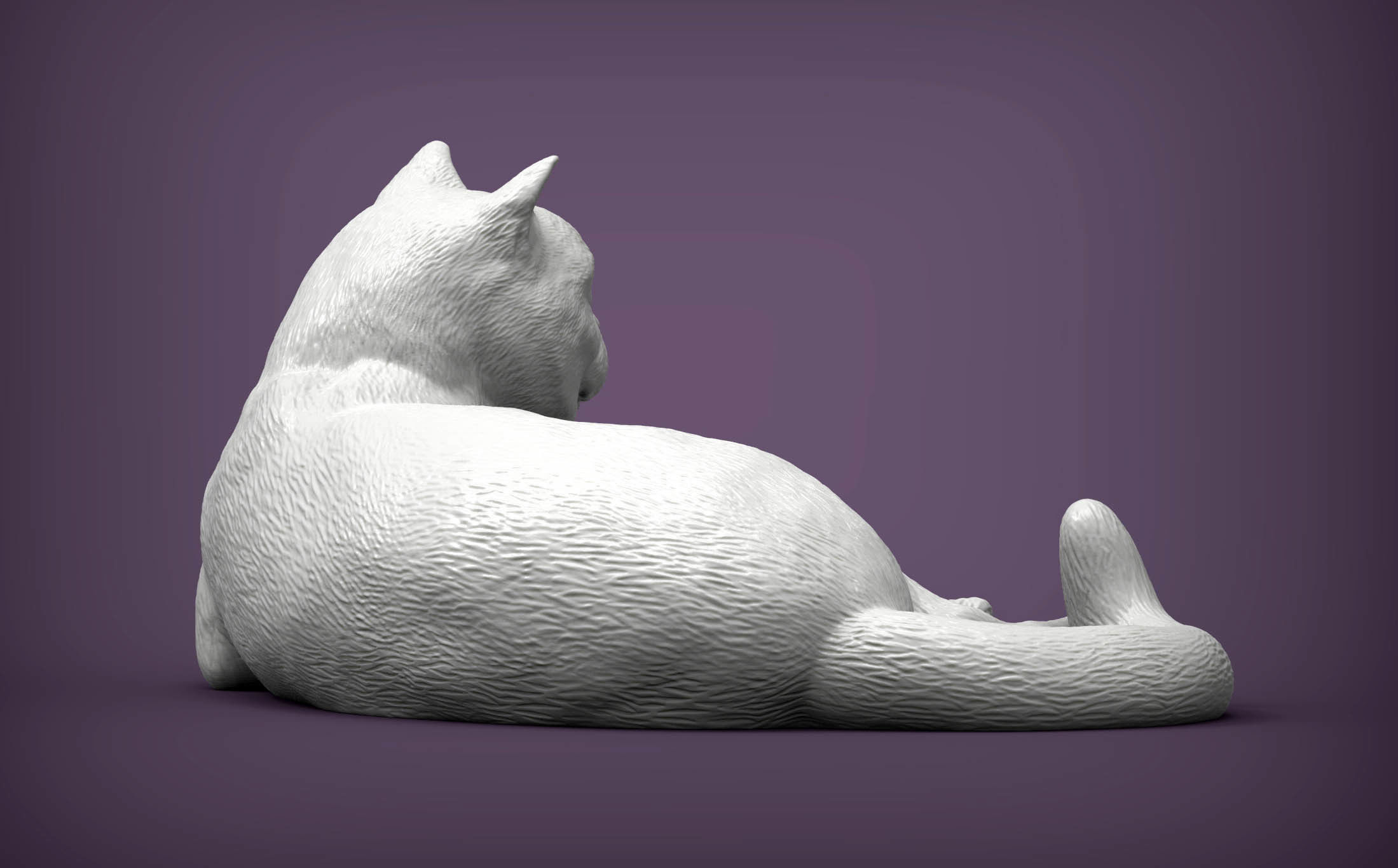 british shorthair cat 3D print model_3