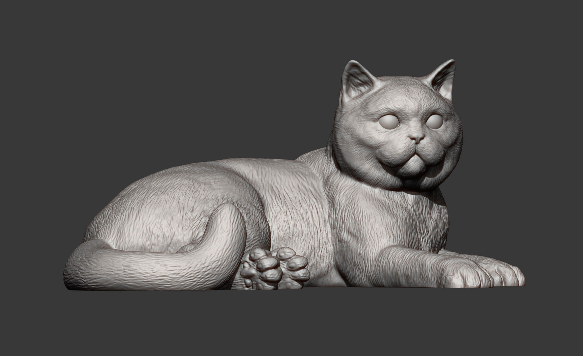 british shorthair cat 3D print model_10
