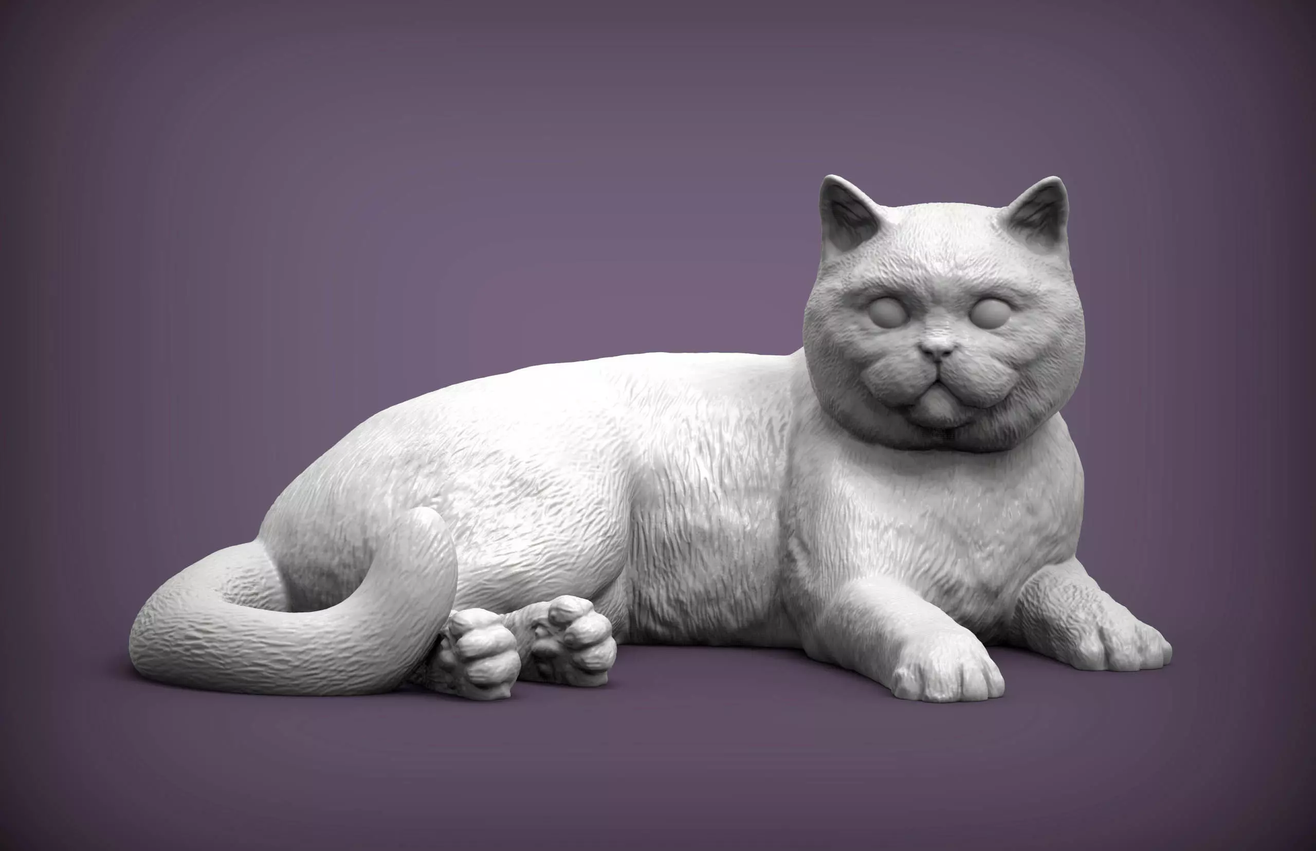 british shorthair cat 3D print model_0