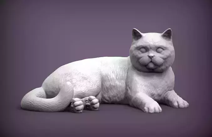 british shorthair cat 3D print model british shorthair cat 3D print model