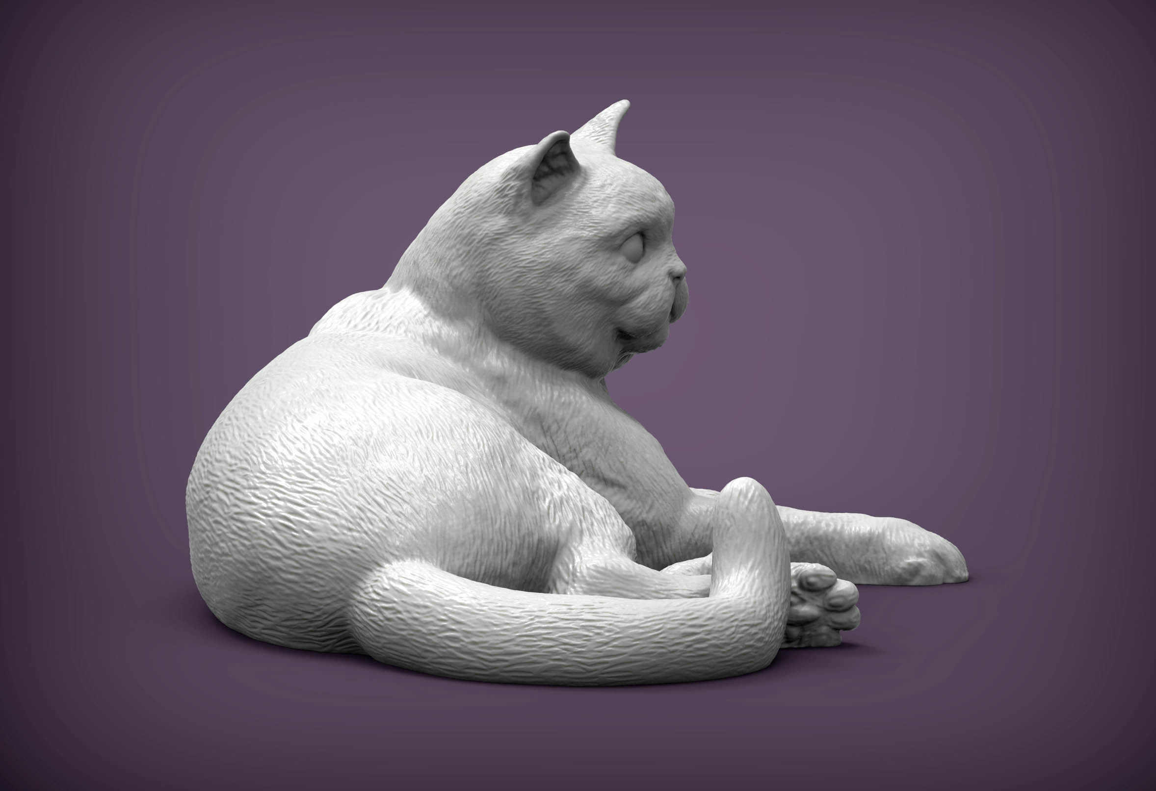 british shorthair cat 3D print model_4